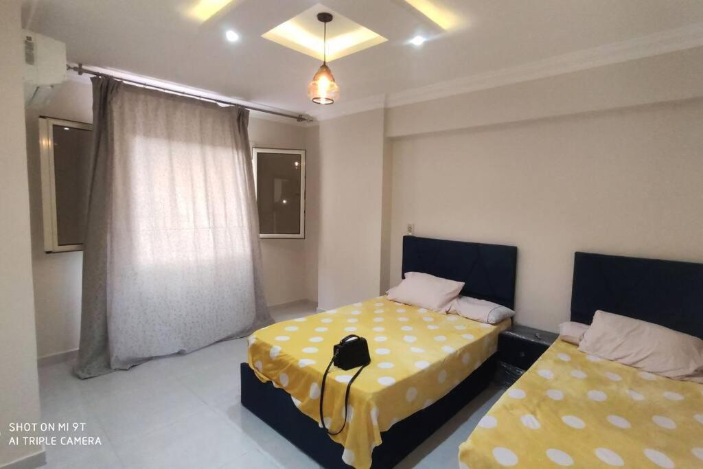 Apartment للإيجار المفروش المدد القصير بكمبوند سما القاهرة. *
